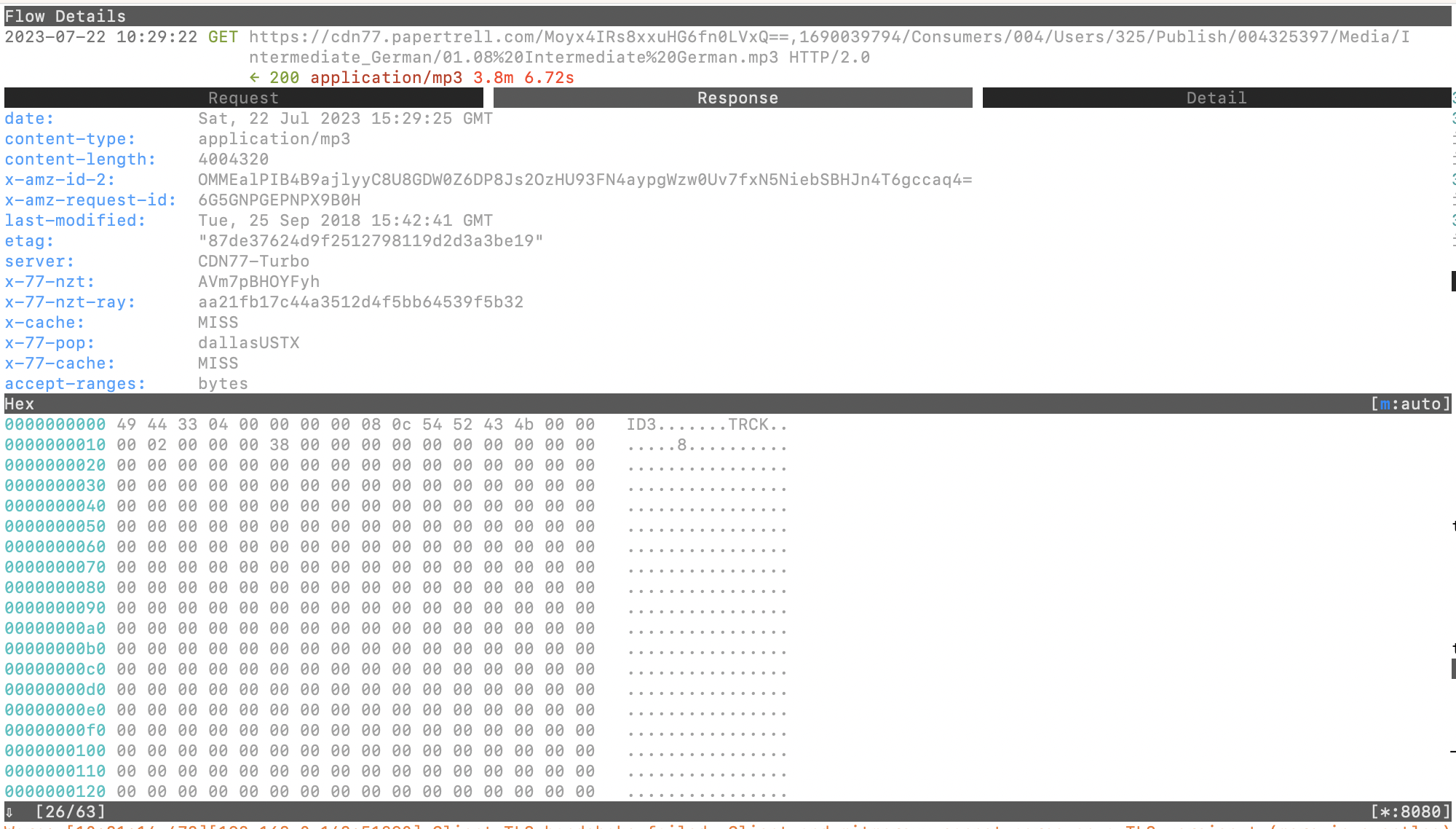 The actual audio file download request detail view